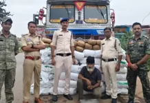 चिल्फी बॉर्डर पर 2.23 करोड़ का गांजा जब्त, कंटेनर के गुप्त चेंबर में छिपाकर हो रही थी तस्करी