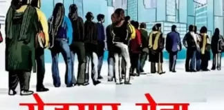 रायपुर में 7-8 अक्टूबर को लगेगा राज्य स्तरीय रोजगार मेला, 8,720 पदों पर होगी भर्ती