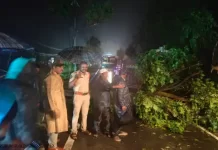 आंध्र में तूफान ‘अर्नब’ की तबाही, 3 की मौत; 57 हजार लोग शिफ्ट